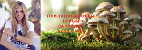 соль ск Ростов
