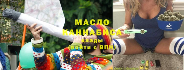 ECSTASY Тайга