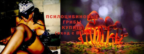 хмурый Абинск