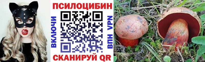 Псилоцибиновые грибы Psilocybe  где купить наркотик  Адыгейск 