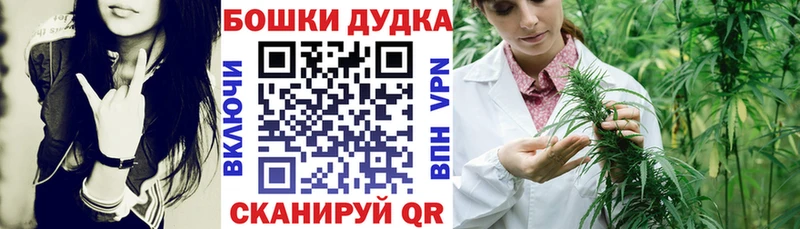 Бошки Шишки ГИДРОПОН Адыгейск